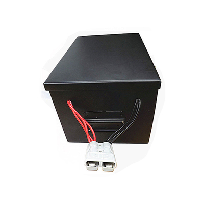 tiefe Zyklus-Batterie 48V 200Ah mit weg errichtet in Energie BMS Perfect For Backup und